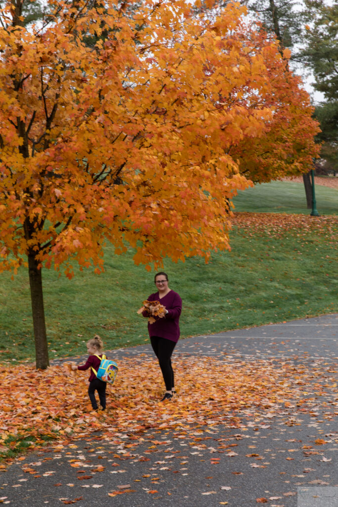 playing in leaves