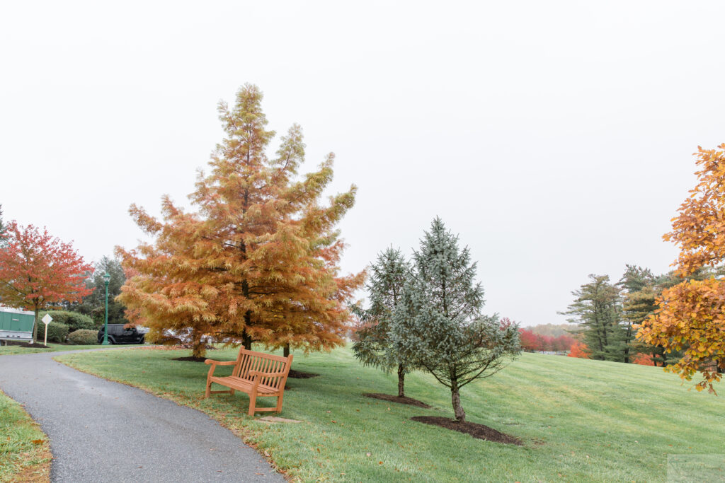 autumn walk