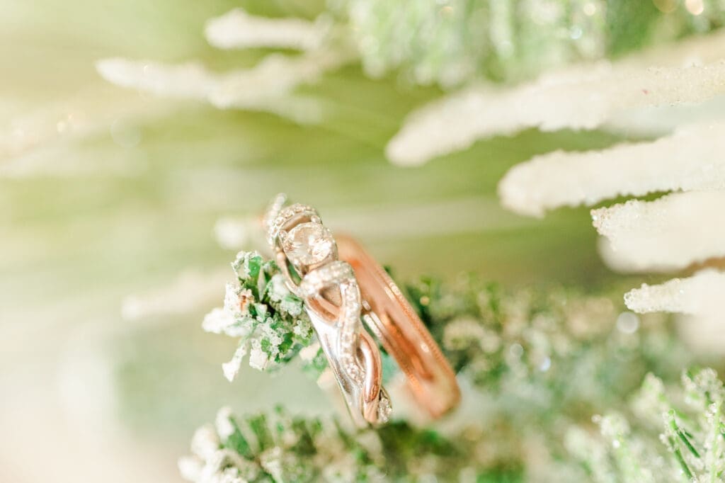 Winter Pine Wedding